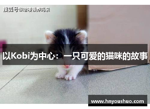 以Kobi为中心：一只可爱的猫咪的故事